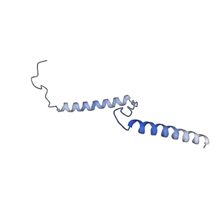 29267_8fl4_NB_v1-1
Human nuclear pre-60S ribosomal subunit (State I3)