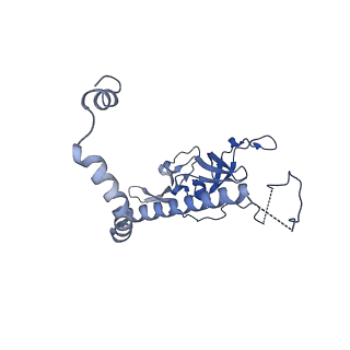29267_8fl4_NF_v1-1
Human nuclear pre-60S ribosomal subunit (State I3)
