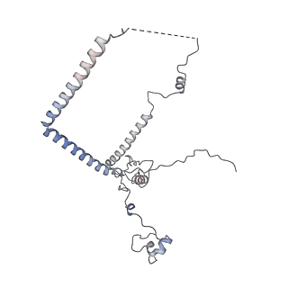 29267_8fl4_NL_v1-1
Human nuclear pre-60S ribosomal subunit (State I3)