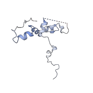 29267_8fl4_NP_v1-1
Human nuclear pre-60S ribosomal subunit (State I3)