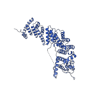 29267_8fl4_NT_v1-1
Human nuclear pre-60S ribosomal subunit (State I3)