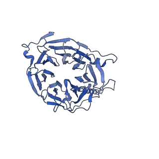 29267_8fl4_NV_v1-1
Human nuclear pre-60S ribosomal subunit (State I3)