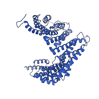 29267_8fl4_NY_v1-1
Human nuclear pre-60S ribosomal subunit (State I3)