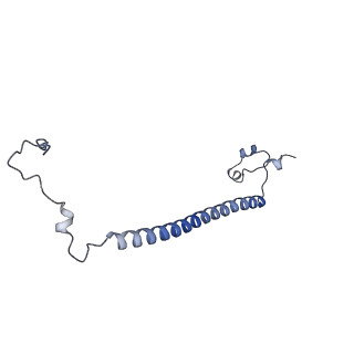 29267_8fl4_NZ_v1-1
Human nuclear pre-60S ribosomal subunit (State I3)