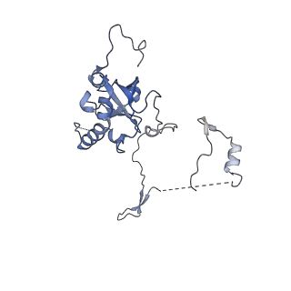 29267_8fl4_SC_v1-1
Human nuclear pre-60S ribosomal subunit (State I3)
