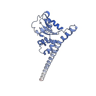 29267_8fl4_SD_v1-1
Human nuclear pre-60S ribosomal subunit (State I3)