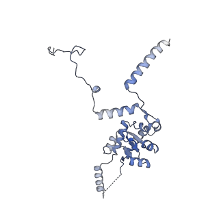 29267_8fl4_SE_v1-1
Human nuclear pre-60S ribosomal subunit (State I3)