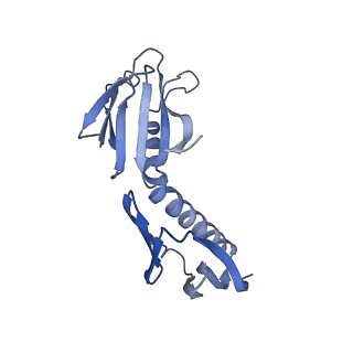 29267_8fl4_SG_v1-1
Human nuclear pre-60S ribosomal subunit (State I3)