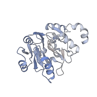 29267_8fl4_SK_v1-1
Human nuclear pre-60S ribosomal subunit (State I3)