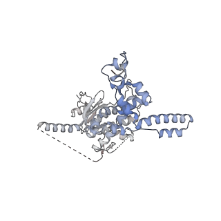 29267_8fl4_SM_v1-1
Human nuclear pre-60S ribosomal subunit (State I3)