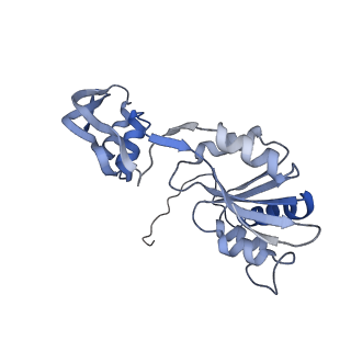 29267_8fl4_SQ_v1-1
Human nuclear pre-60S ribosomal subunit (State I3)