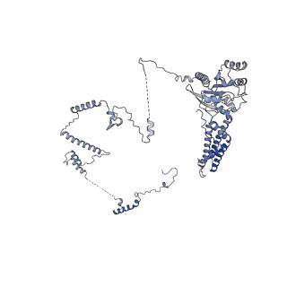 29267_8fl4_SR_v1-1
Human nuclear pre-60S ribosomal subunit (State I3)
