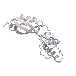 29268_8fl6_BA_v1-1
Human nuclear pre-60S ribosomal subunit (State J1)