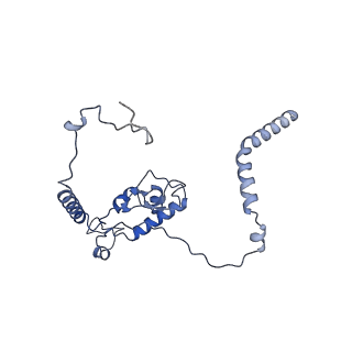 29268_8fl6_L6_v1-1
Human nuclear pre-60S ribosomal subunit (State J1)