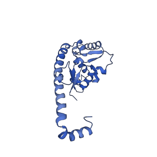 29268_8fl6_L7_v1-1
Human nuclear pre-60S ribosomal subunit (State J1)