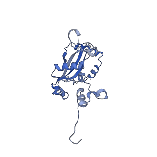 29268_8fl6_L9_v1-1
Human nuclear pre-60S ribosomal subunit (State J1)