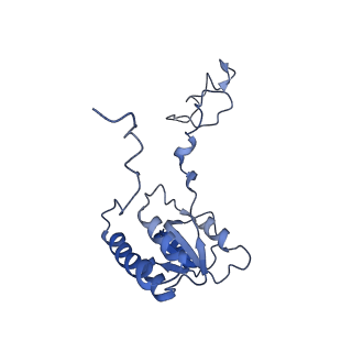 29268_8fl6_LB_v1-1
Human nuclear pre-60S ribosomal subunit (State J1)
