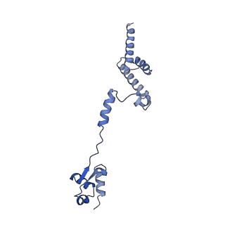 29268_8fl6_LD_v1-1
Human nuclear pre-60S ribosomal subunit (State J1)