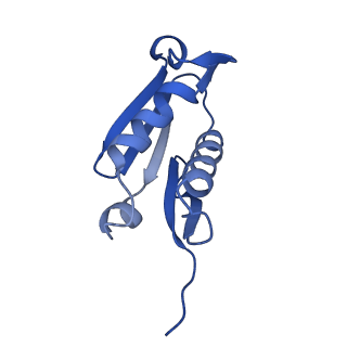 29268_8fl6_LF_v1-1
Human nuclear pre-60S ribosomal subunit (State J1)