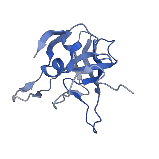 29268_8fl6_LG_v1-1
Human nuclear pre-60S ribosomal subunit (State J1)