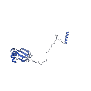 29268_8fl6_LH_v1-1
Human nuclear pre-60S ribosomal subunit (State J1)