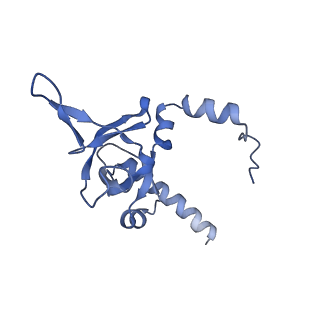 29268_8fl6_LI_v1-1
Human nuclear pre-60S ribosomal subunit (State J1)