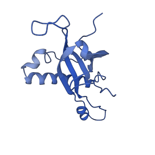 29268_8fl6_LJ_v1-1
Human nuclear pre-60S ribosomal subunit (State J1)