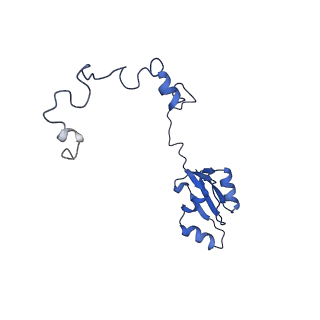 29268_8fl6_LK_v1-1
Human nuclear pre-60S ribosomal subunit (State J1)