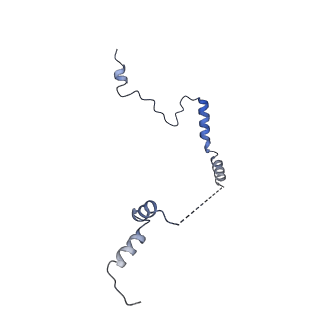 29268_8fl6_LM_v1-1
Human nuclear pre-60S ribosomal subunit (State J1)