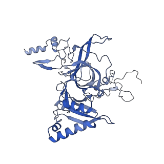 29268_8fl6_LN_v1-1
Human nuclear pre-60S ribosomal subunit (State J1)