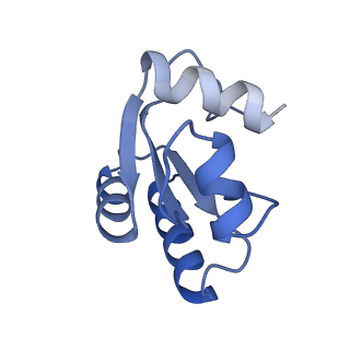 29268_8fl6_LO_v1-1
Human nuclear pre-60S ribosomal subunit (State J1)