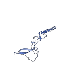 29268_8fl6_LR_v1-1
Human nuclear pre-60S ribosomal subunit (State J1)
