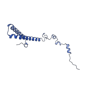 29268_8fl6_LS_v1-1
Human nuclear pre-60S ribosomal subunit (State J1)