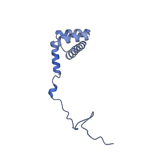 29268_8fl6_LU_v1-1
Human nuclear pre-60S ribosomal subunit (State J1)