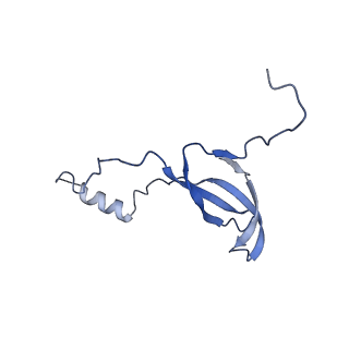 29268_8fl6_LV_v1-1
Human nuclear pre-60S ribosomal subunit (State J1)