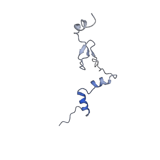 29268_8fl6_LW_v1-1
Human nuclear pre-60S ribosomal subunit (State J1)