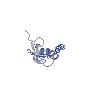 29268_8fl6_LX_v1-1
Human nuclear pre-60S ribosomal subunit (State J1)