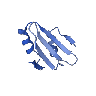 29268_8fl6_LY_v1-1
Human nuclear pre-60S ribosomal subunit (State J1)