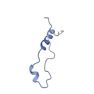 29268_8fl6_LZ_v1-1
Human nuclear pre-60S ribosomal subunit (State J1)