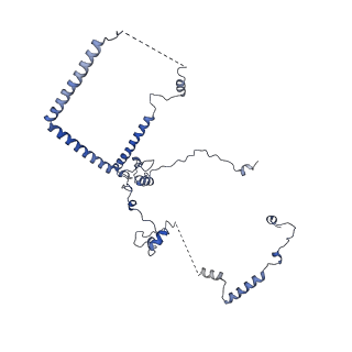 29268_8fl6_NL_v1-1
Human nuclear pre-60S ribosomal subunit (State J1)