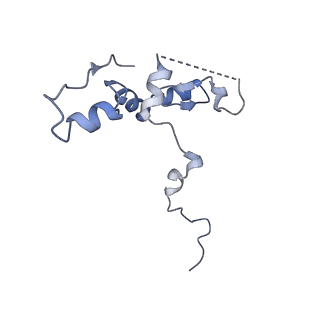 29268_8fl6_NP_v1-1
Human nuclear pre-60S ribosomal subunit (State J1)