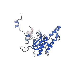 29268_8fl6_SB_v1-1
Human nuclear pre-60S ribosomal subunit (State J1)