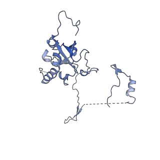 29268_8fl6_SC_v1-1
Human nuclear pre-60S ribosomal subunit (State J1)