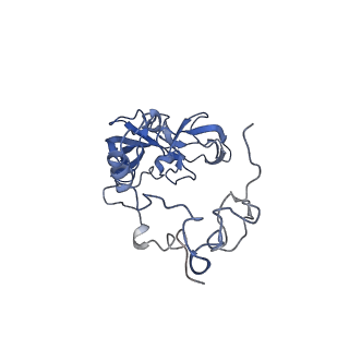 29268_8fl6_SF_v1-1
Human nuclear pre-60S ribosomal subunit (State J1)