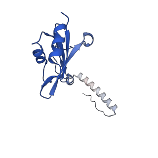 29268_8fl6_SH_v1-1
Human nuclear pre-60S ribosomal subunit (State J1)