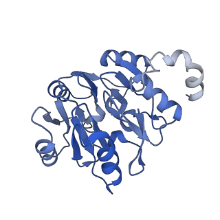 29268_8fl6_SK_v1-1
Human nuclear pre-60S ribosomal subunit (State J1)