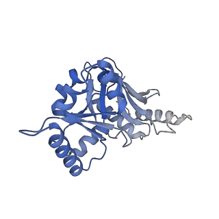 29268_8fl6_SL_v1-1
Human nuclear pre-60S ribosomal subunit (State J1)
