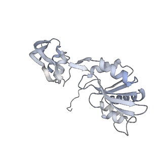 29268_8fl6_SQ_v1-1
Human nuclear pre-60S ribosomal subunit (State J1)