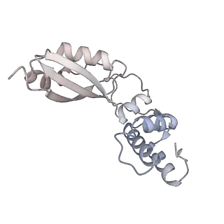 29269_8fl7_BA_v1-2
Human nuclear pre-60S ribosomal subunit (State J2)