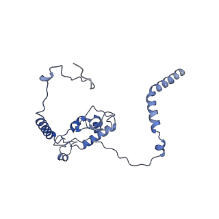 29269_8fl7_L6_v1-2
Human nuclear pre-60S ribosomal subunit (State J2)